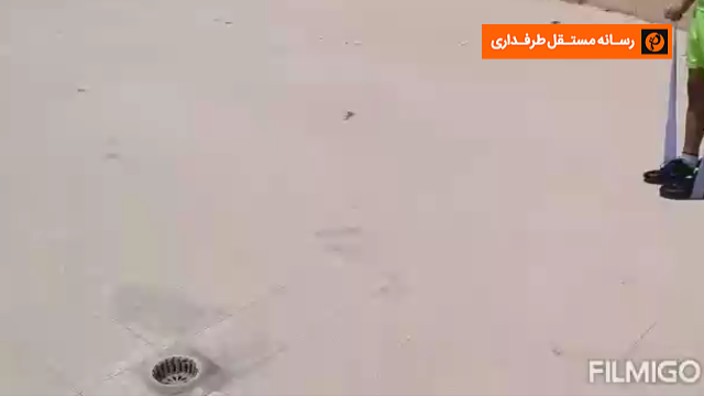 شهرداری فومن